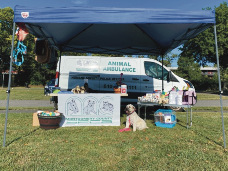 Photo of an outdoor event table containing MCSPCA banner and various raffle and toy baskets on and around the table. The MCSPCA animal ambulance van is parked behind the table which is shaded by a blue EZ Up tent. A Wheaten Terrier sits proudly in front of the table next to the banner.